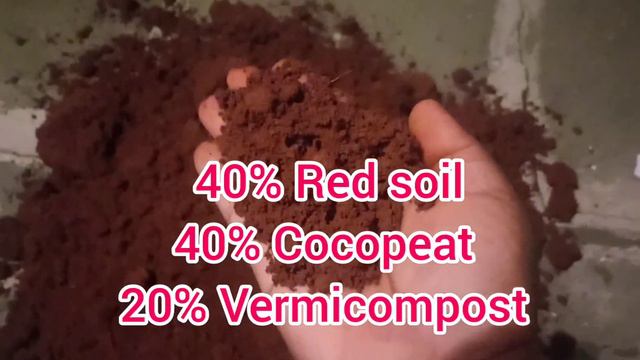 Is it easy to grow fruit trees in pots ??? смотреть онлайн