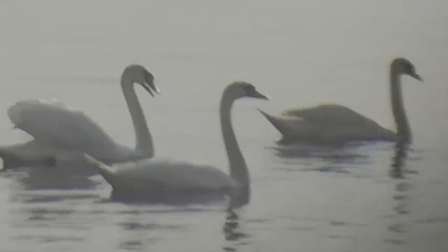 Всех поздравляю с Вознесением!!! Пусть красивые виды природы подарят радость! смотреть онлайн