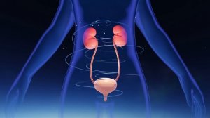 Очень редкая Матрица Гаряева для Очищения Почек ☀️ Квантовое исцеление звуком