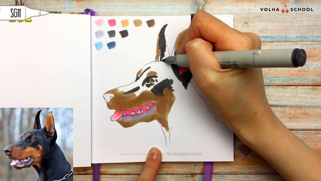 Как нарисовать добермана? / Видео-урок по рисованию маркерами #107 смотреть онлайн