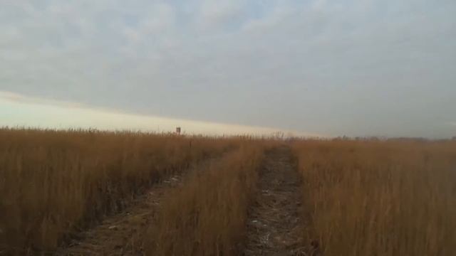 ЖК Ильинское Усово место будущей застройки песочный карьер ilyinskoe usovo 12 смотреть онлайн