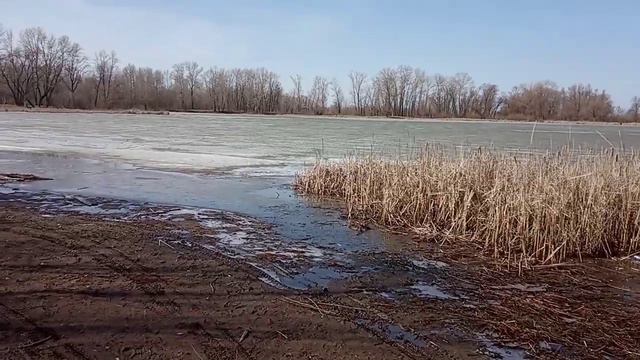 Ранняя весна в Самаре. Гуляем за южным мостом. смотреть онлайн