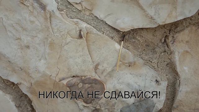 НИКОГДА НЕ СДАВАЙСЯ! Муравей. Подъем с грузом.