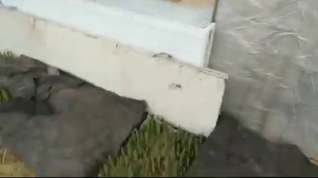 Вирощування Тюльпанів. Проблема Відео Онлайн смотреть онлайн