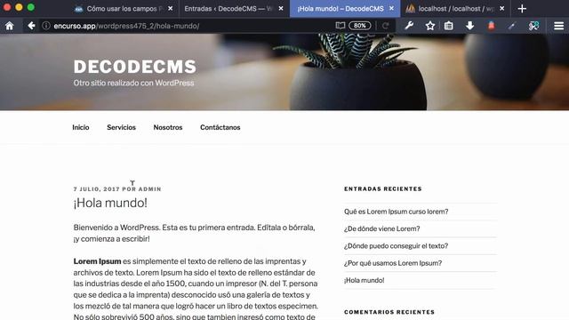 Cómo usar los campos personalizado en WordPress смотреть онлайн