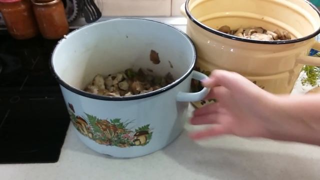 Старинный рецепт СОЛЁНЫХ ГРИБОВ от моих родителей!ГРИБЫ получаются душистыми,вкусными смотреть онлайн
