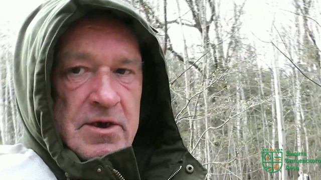Битцевский лес опять борьба. смотреть онлайн