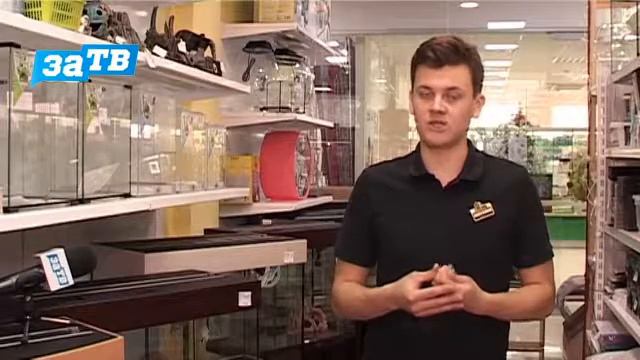 Планета ZOO// очередной выпуск об аквариумистике смотреть онлайн