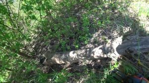 Рыбалка на Северском Донце.Обустраиваю свое место.Готовлю на костре.