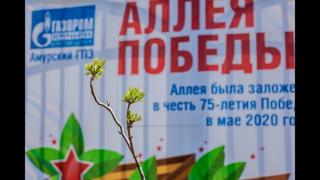 Сотрудники Амурского ГПЗ высадили деревья на аллее Победы в Свободном смотреть онлайн