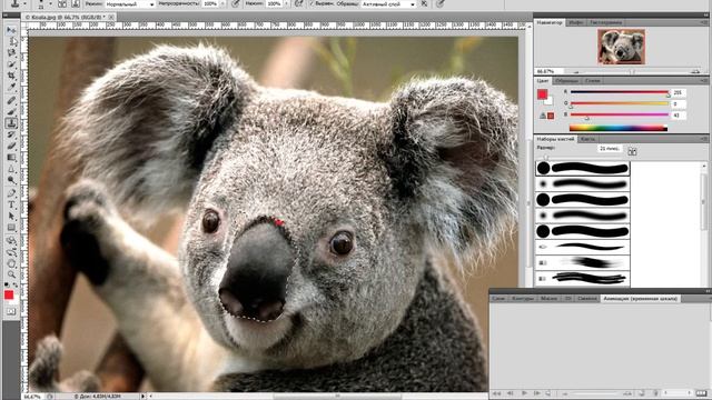 Как снимать видео #2. Adobe Photoshop CS5. Урок 1. смотреть онлайн