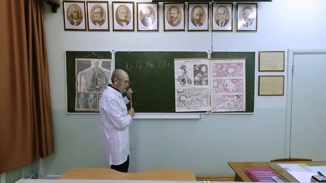 Дыхательная система смотреть онлайн
