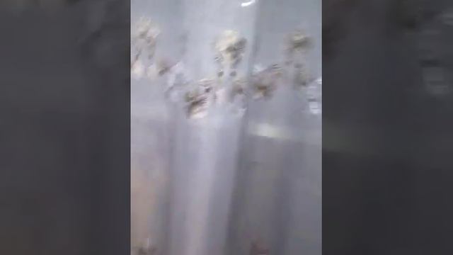 12 00 часов ночи смотреть онлайн