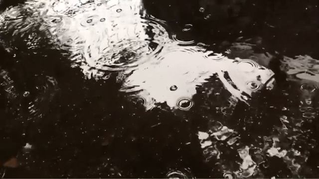 Капли дождя, замедленная съёмка смотреть онлайн