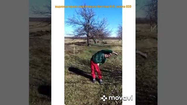 Комплекс упражнений для утренней гимнастики смотреть онлайн