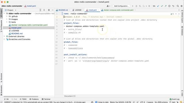 Using (and creating) ddev-get add-on services смотреть онлайн