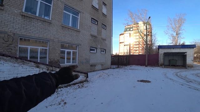 Средняя школа № 19 в Чите. Внешний вид. 08.11.2020 смотреть онлайн