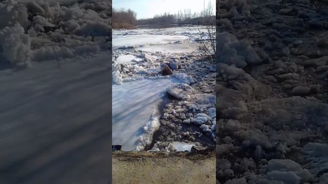 Паводок на реке Олым, Липецкая область. смотреть онлайн