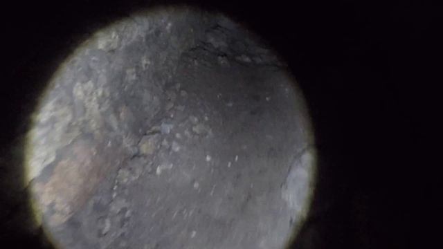 Парк-усадьба "Максимова дача" смотреть онлайн