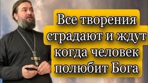 Проповедь на вечернем богослужении. Протоиерей  Андрей Ткачёв.