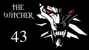 The Witcher / Ведьмак - Белки и Алый орден на болоте - Прохождение игры [#43] | PC (2016 г.)