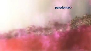 Зубная паста parodontax: Ультра Очищение