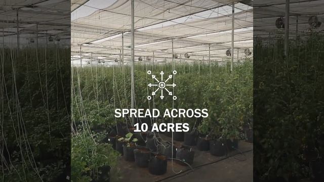Delia Farm Visit смотреть онлайн