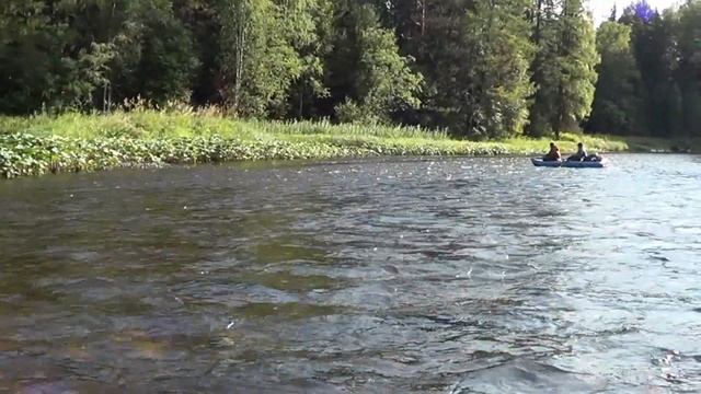 Рыбалка на хариуса. Сплав по таёжной реке КАКВА. Охота на Уток. смотреть онлайн
