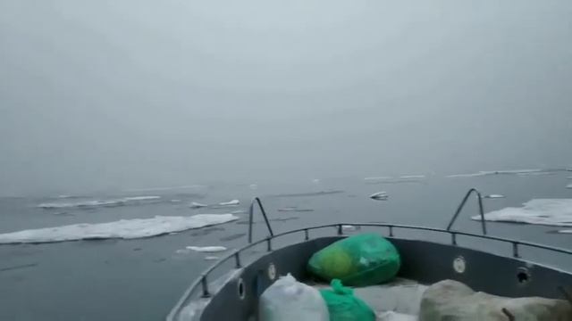 Лёд в Азовском море 2020 смотреть онлайн