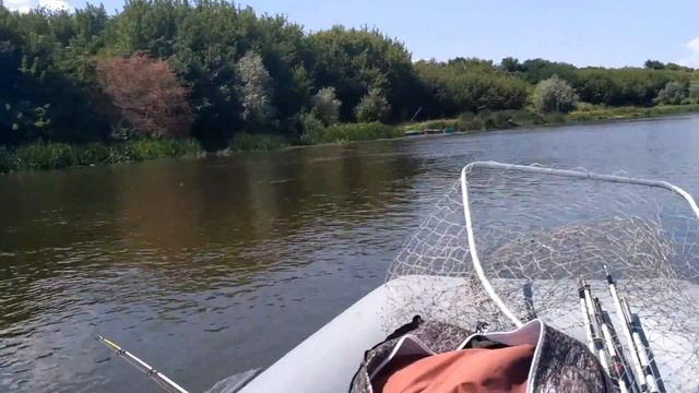 Дон Воронеж ч3 Меловые горы. Браконьеры обнаглели смотреть онлайн