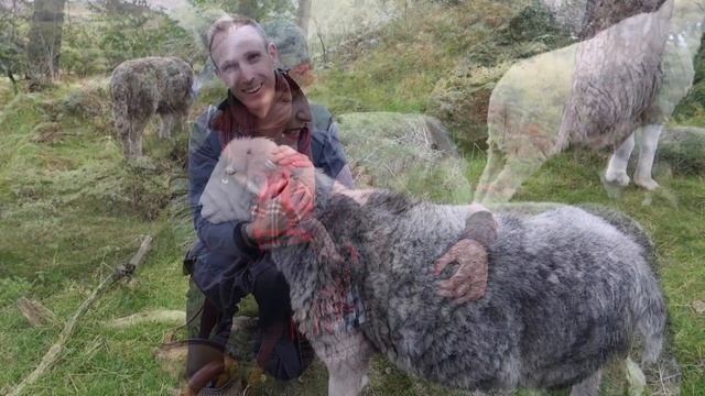 WHY GREAT BRITAIN IS SO SPECIAL: Things that will make you fall in love with the UK смотреть онлайн