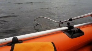 судак на дамбе. первый выезд.