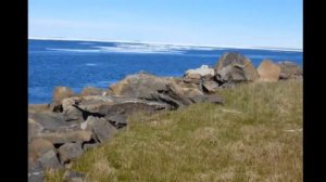 Песня/ Диксон