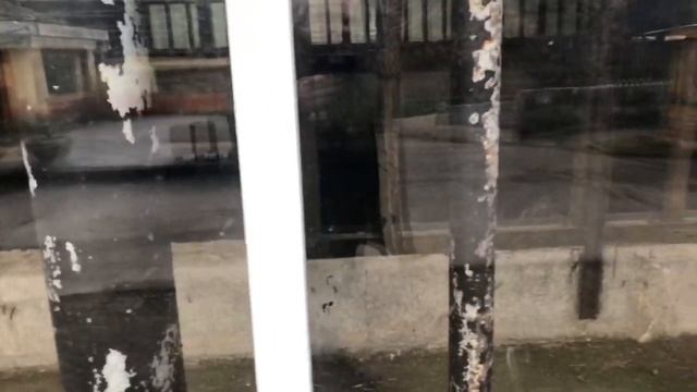 Прогулка по Тбилисскому зоопарку смотреть онлайн