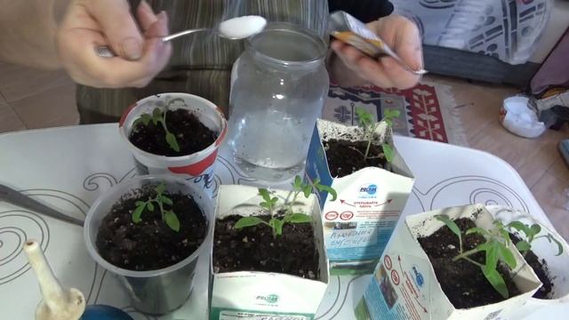 Янтарная кислота для рассады - как и для чего ее используют смотреть онлайн