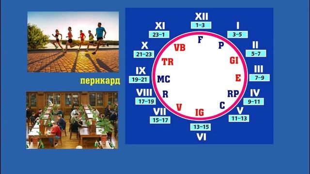 Китайская биоритмология суточная циркуляция энергии4450a5 autosave смотреть онлайн