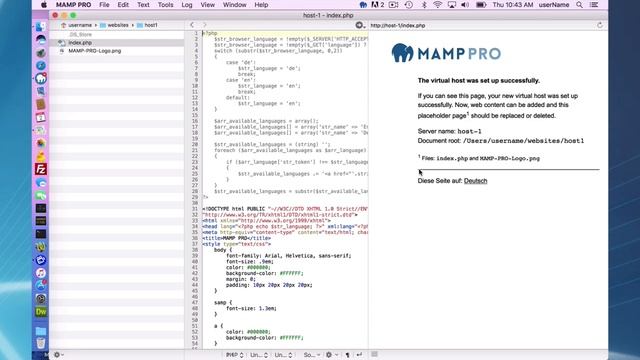 40 MAMP PRO 4 - Editor Real View смотреть онлайн