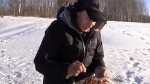 Уроки ловли плотвы зимой на мормышку от профи