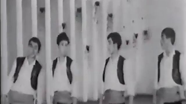 Երգ իմ զրնգա | Ֆիլմ - համերգ | Երևան 1967 | Արթուր Էլբակյան | Yerg im zrnga | Yerevan 1967 смотреть онлайн
