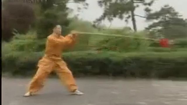 Шаолинь Танланцюань Ланьменьцян копье богомола) (8)flv смотреть онлайн