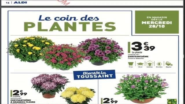 ALDI ARRIVAGE PROMOS DU 27 OCTOBRE 2020 смотреть онлайн