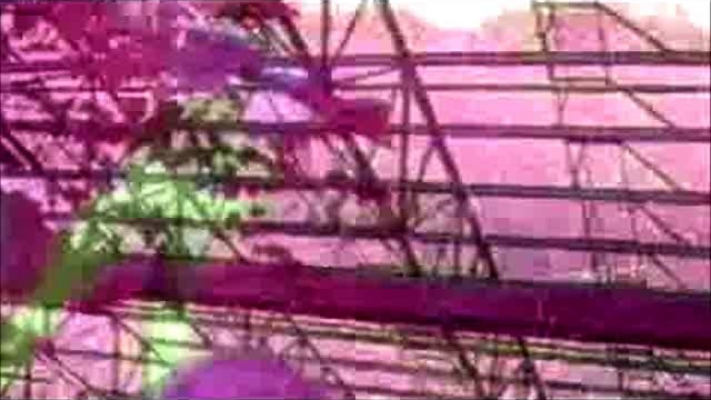 PRIVET IZ 90 - IH смотреть онлайн