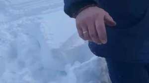 ДИНГО 150 по глубокому снегу