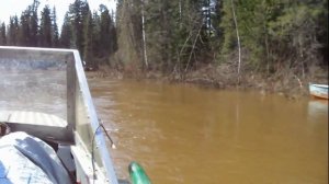 Рыбалка в Красноярском крае - р Черная