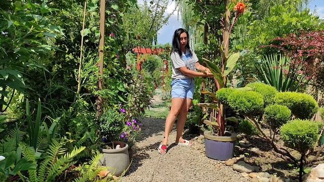 Обзор сада летом 1 АВГУСТА | КАКОЙ ПОДАРОК Я ВЫБРАЛА | Цветущий сад летом | ЛЕТО В САДУ 2021 смотреть онлайн