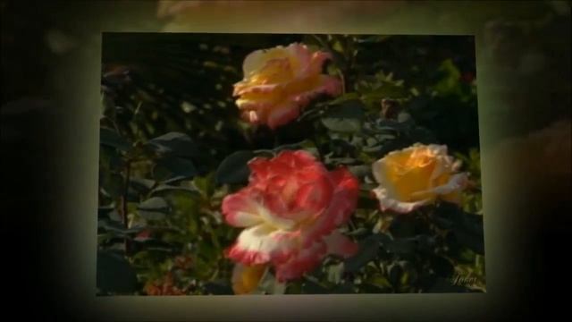 Мои родители - Ангелы хранители !!! смотреть онлайн