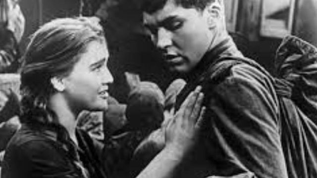 " Дождись" смотреть онлайн