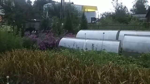 Кулинарные хитрости от Ангелины