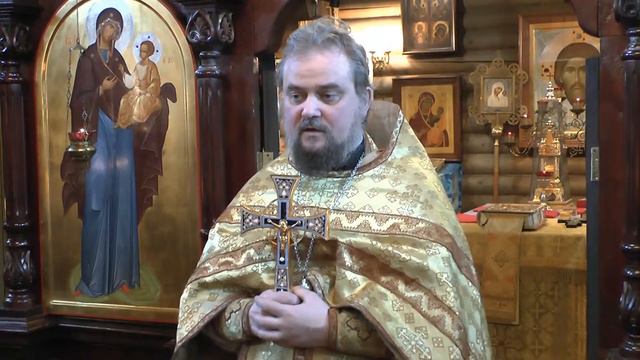 Проповедь отца Андрея Дьяченко после совершения детской Литургии 19 февраля 2017 г. смотреть онлайн