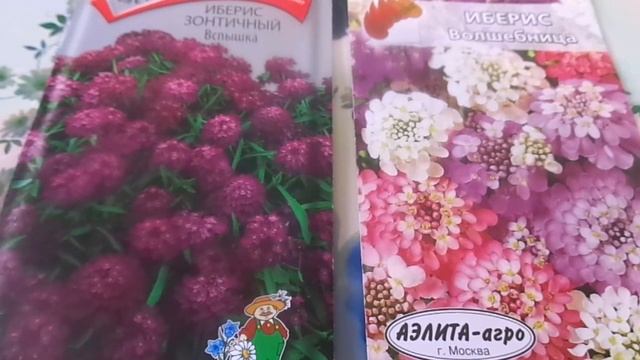 Сеем цветы разных культур и сортов в открытый грунт без рассадным способом. смотреть онлайн